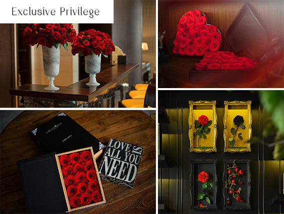 Exclusive Privilege