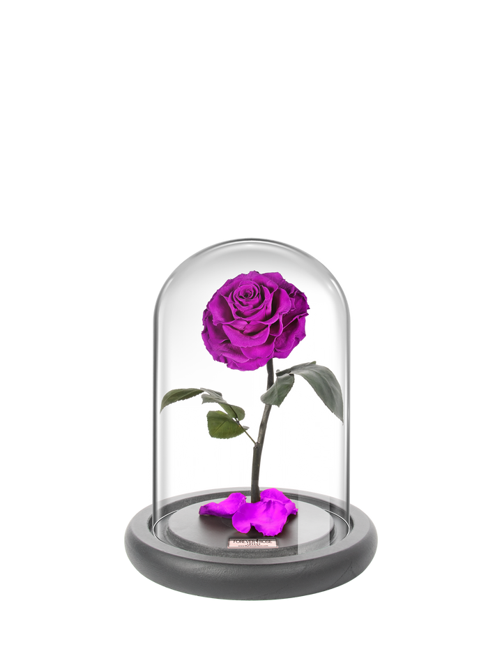 Life. Log Roses MyForeverRoseUAE - House of Luxury General Trading LLC