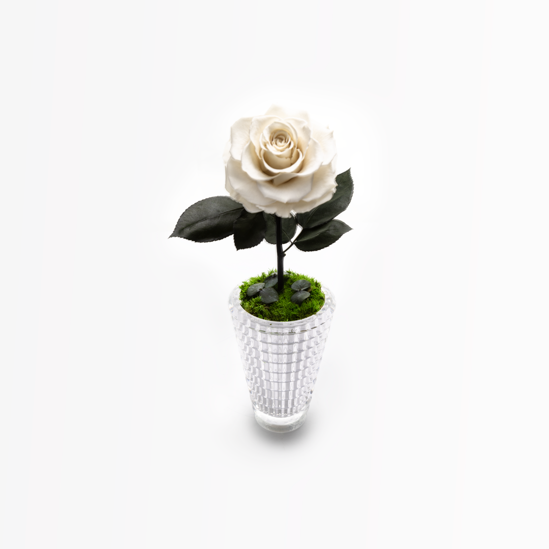 THE BLOOMING - ROUND CRYSTAL WHITE ARRANGEMENT BIG – MyForeverRoseUAE ...