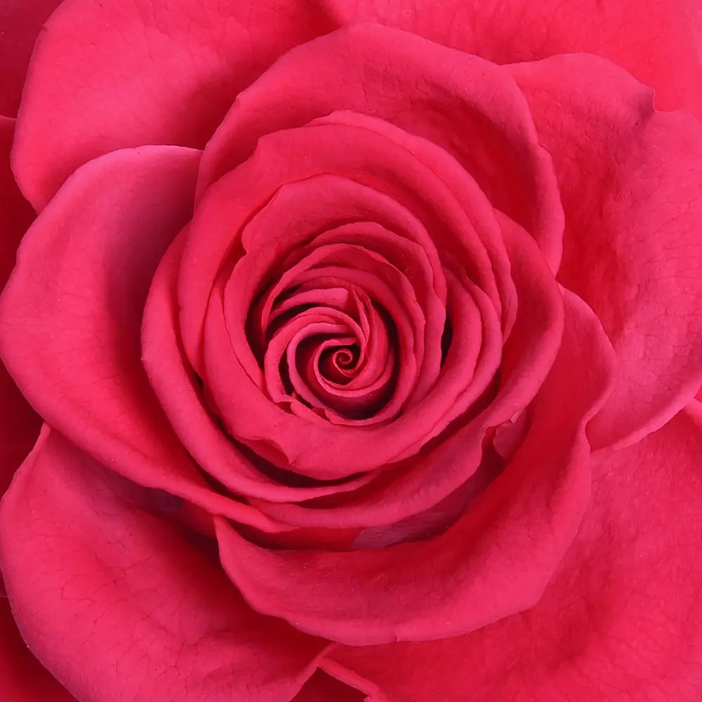 THE BLOOMING - ROUND CRYSTAL RED ARRANGEMENT BIG