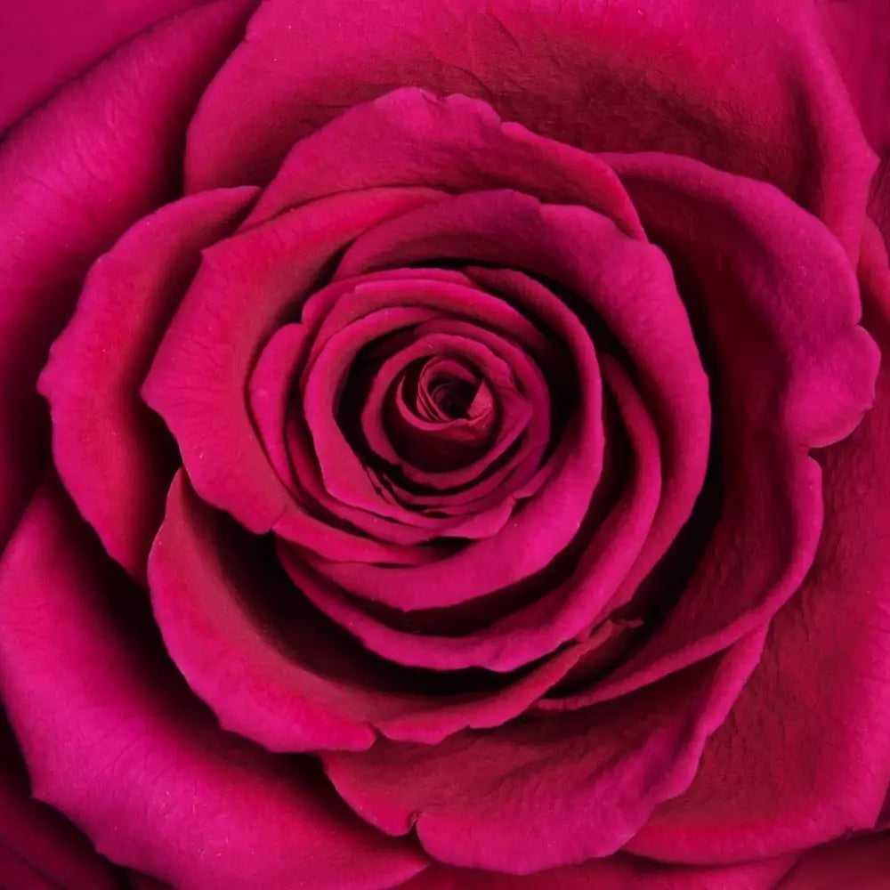 THE BLOOMING - ROUND CRYSTAL RED ARRANGEMENT BIG