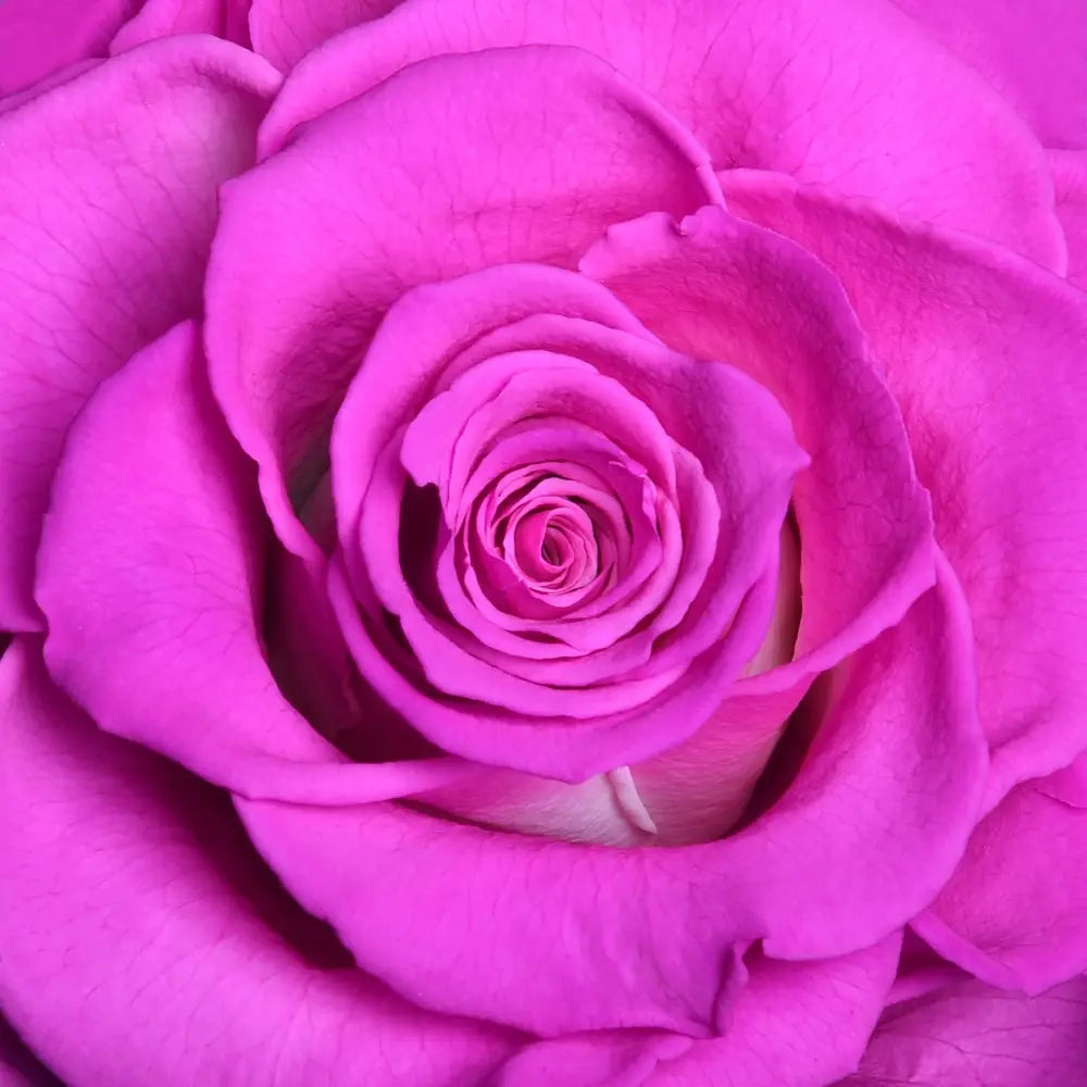 THE BLOOMING - ROUND CRYSTAL RED ARRANGEMENT BIG