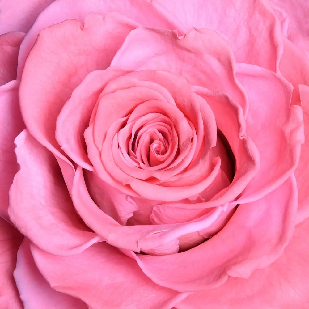 THE BLOOMING - ROUND CRYSTAL RED ARRANGEMENT BIG