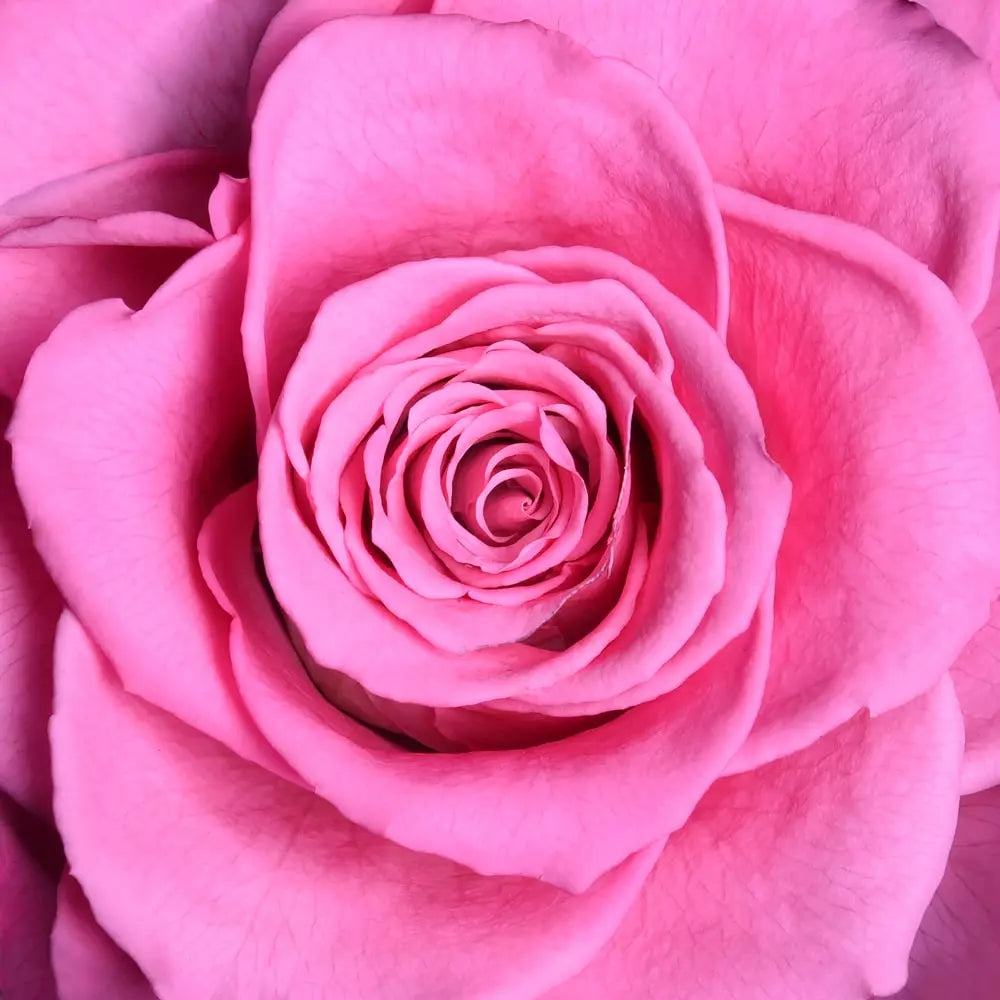 THE BLOOMING - ROUND CRYSTAL RED ARRANGEMENT BIG