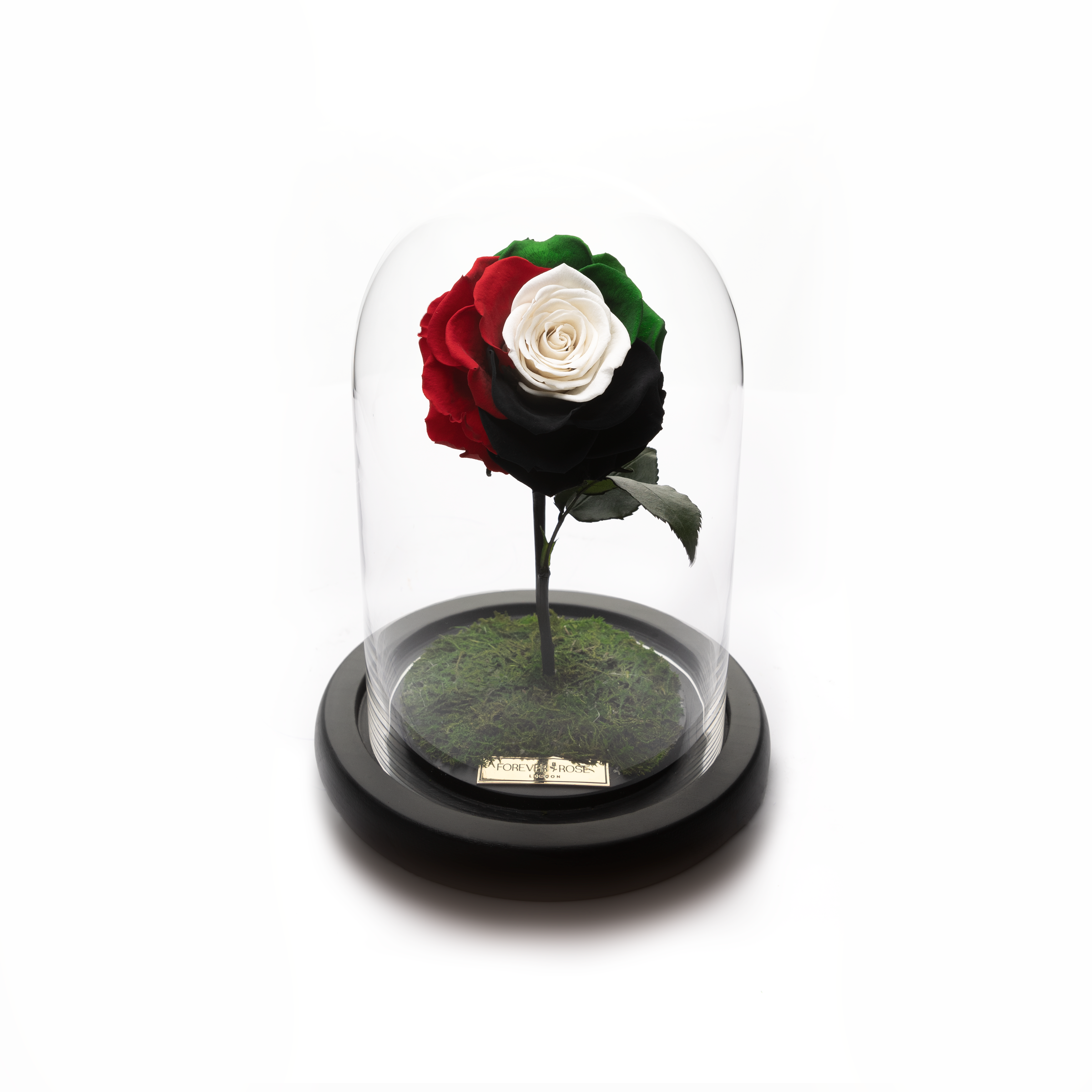 Bella Mini- Flag Rose