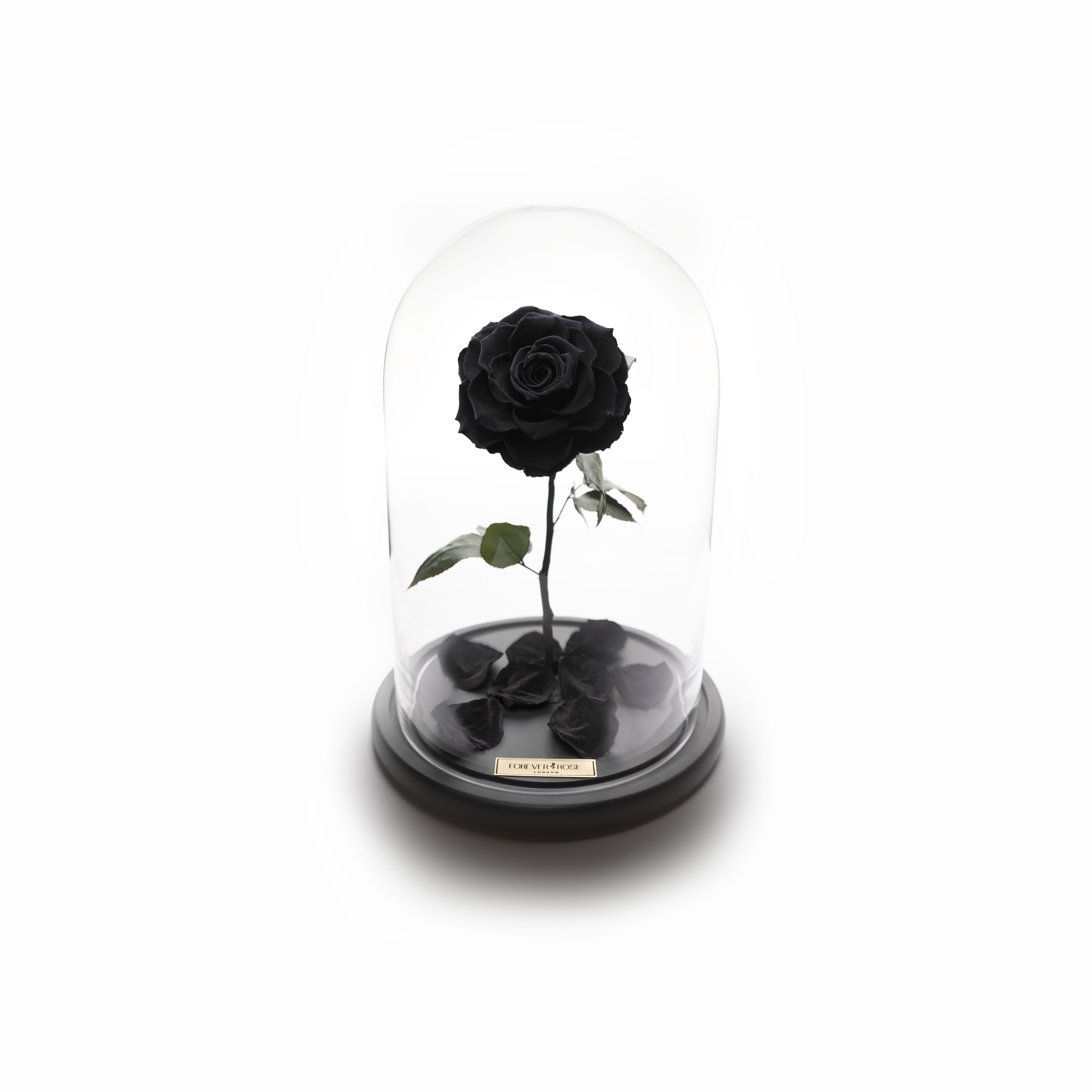 Bella Rose – MyForeverRoseUAE - House of Luxury General Trading LLC