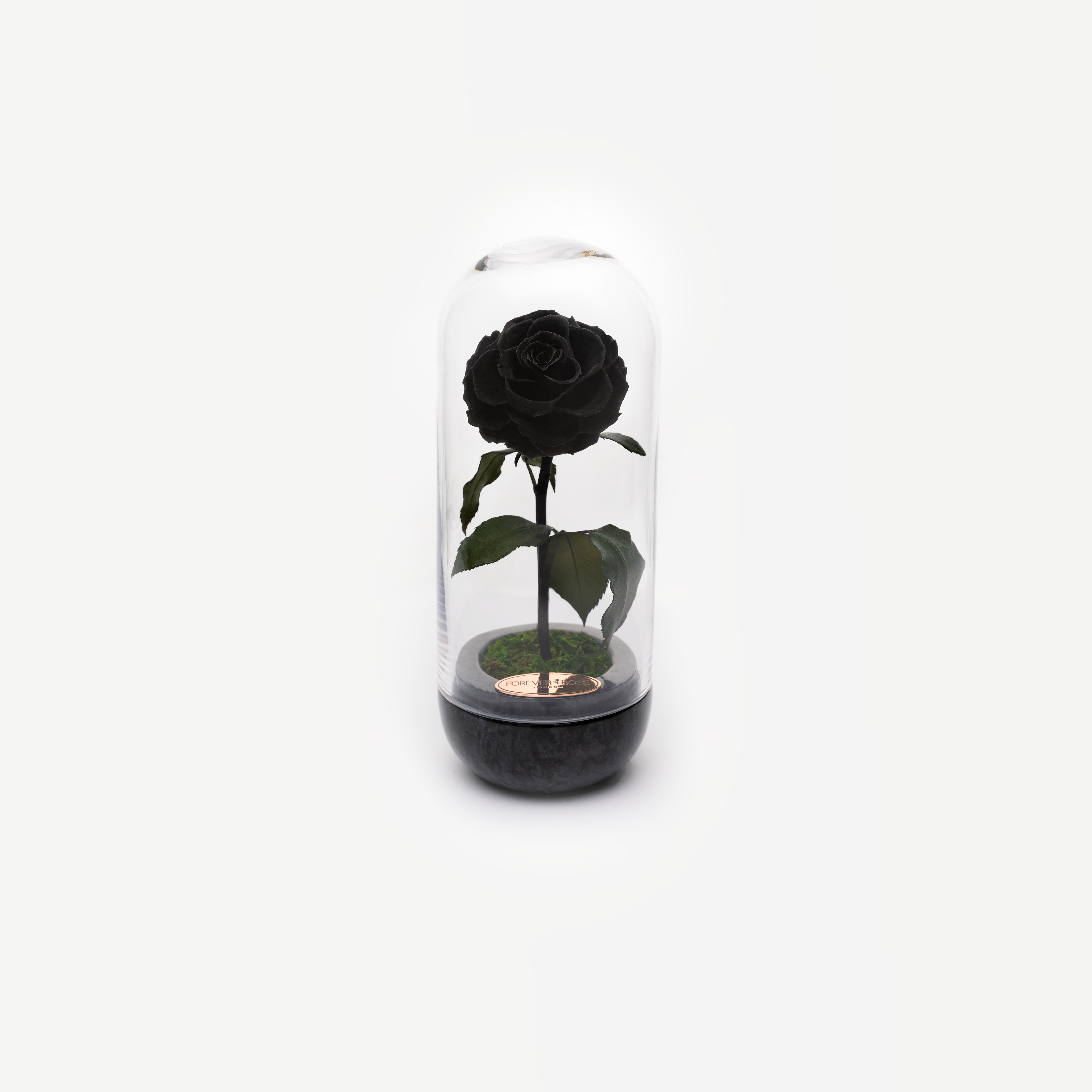 The Capsule Black