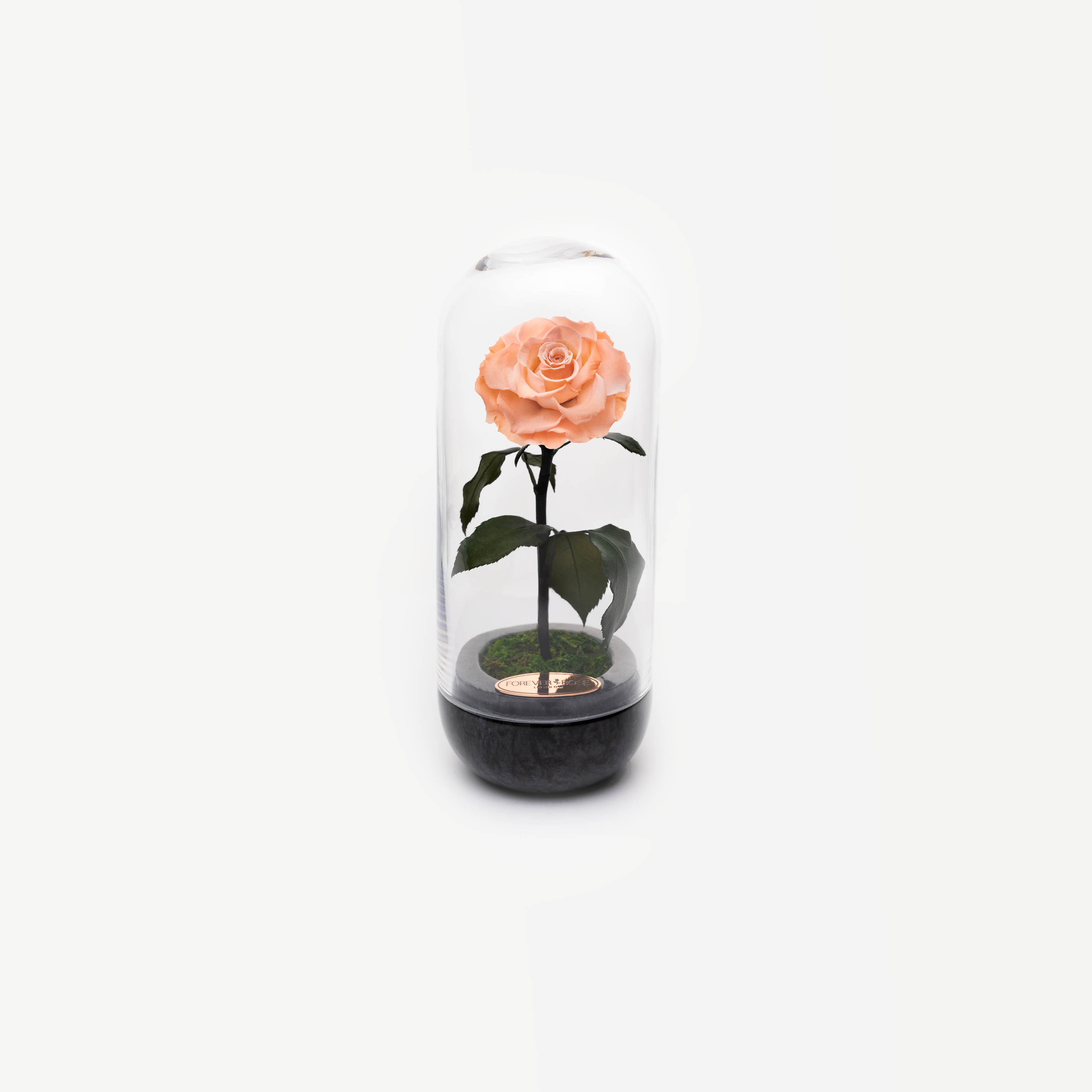 The Capsule Black