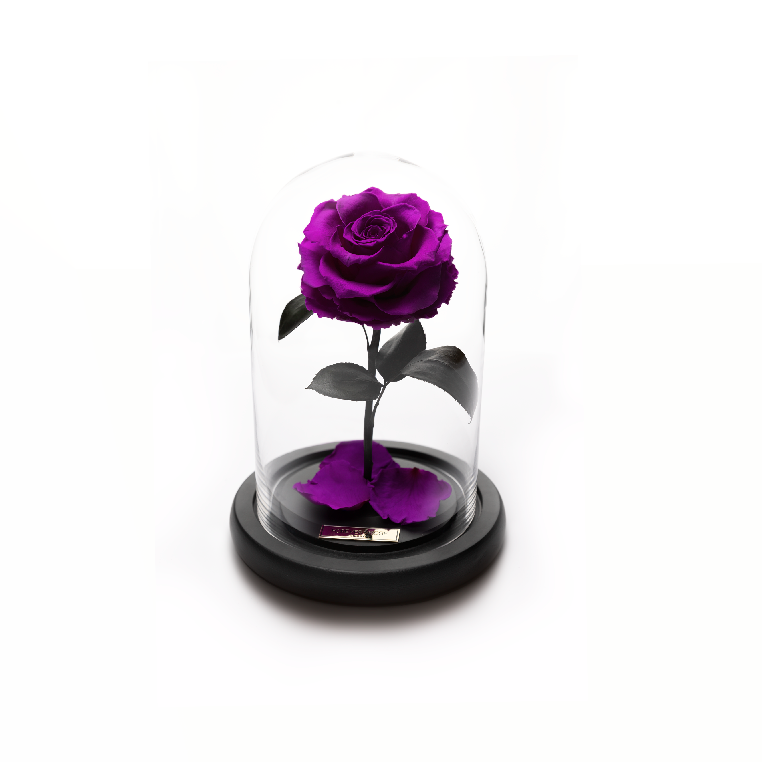 Bella Mini – MyForeverRoseUAE - House of Luxury General Trading LLC